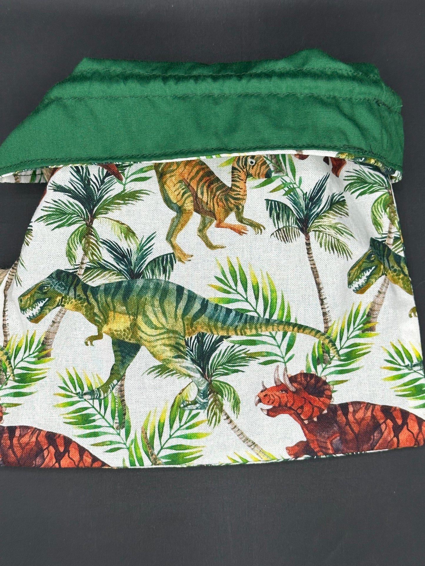 t-rex draw string bag