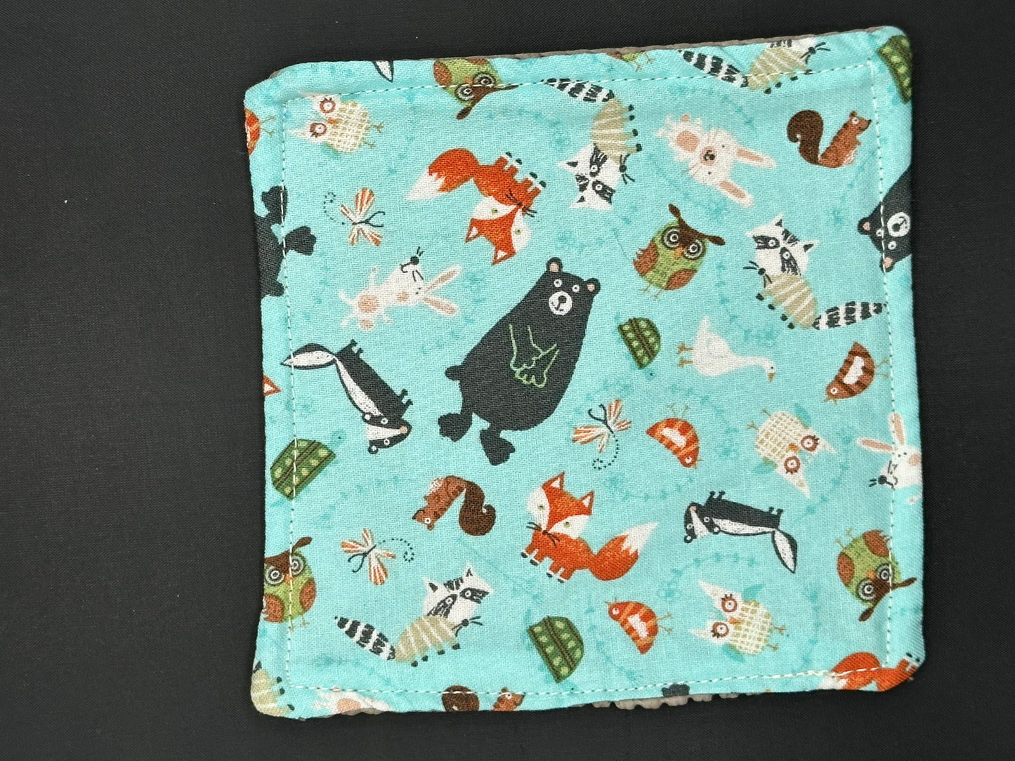 Forest Animals