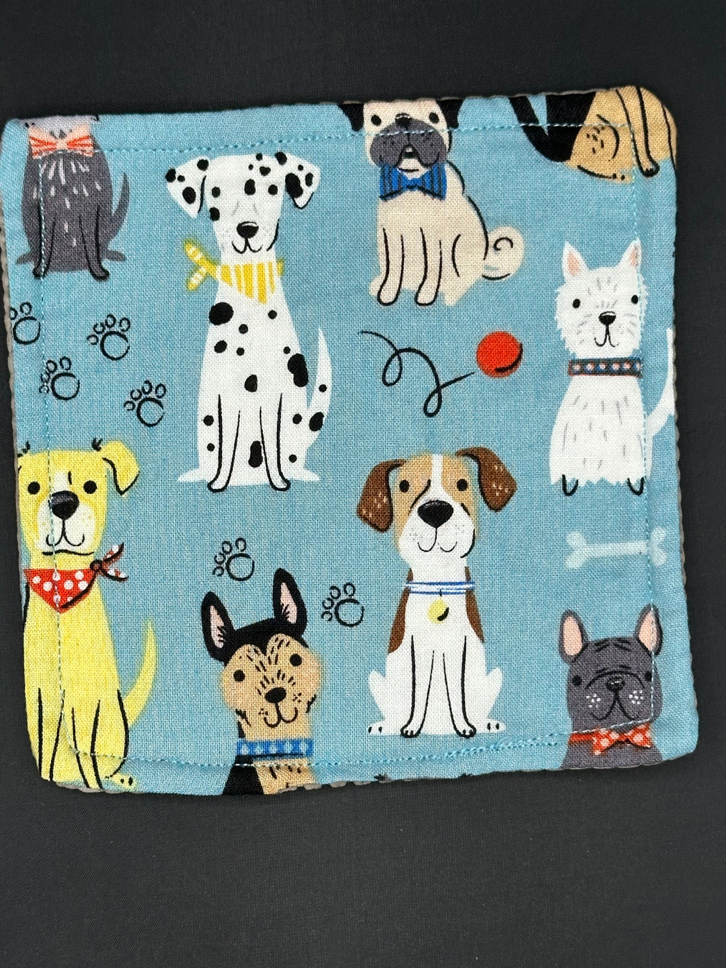 Dogs on blue background