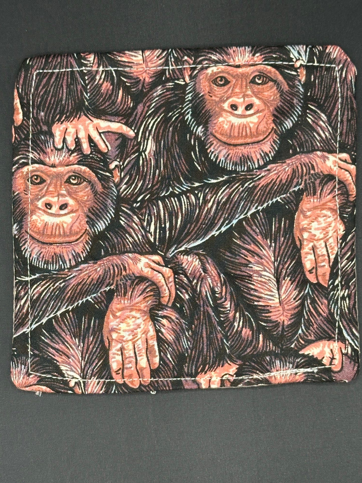 monkeys