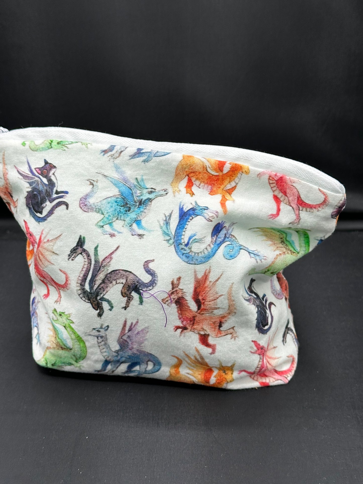colorful dragons on white