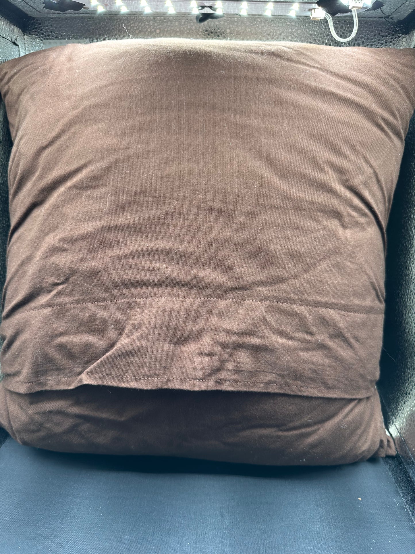 dragon head pillow in browns and cream