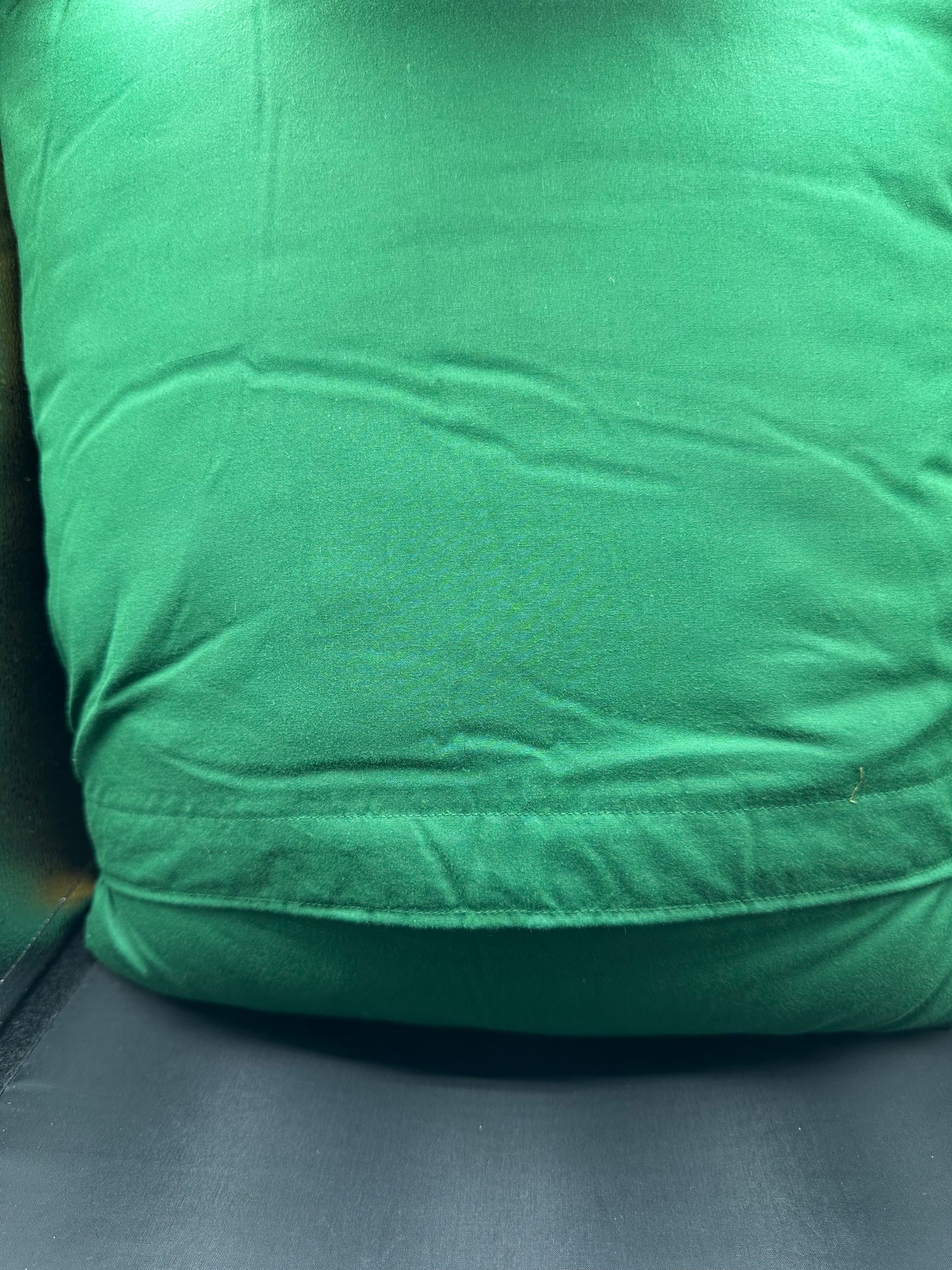 stegosaurus pillow