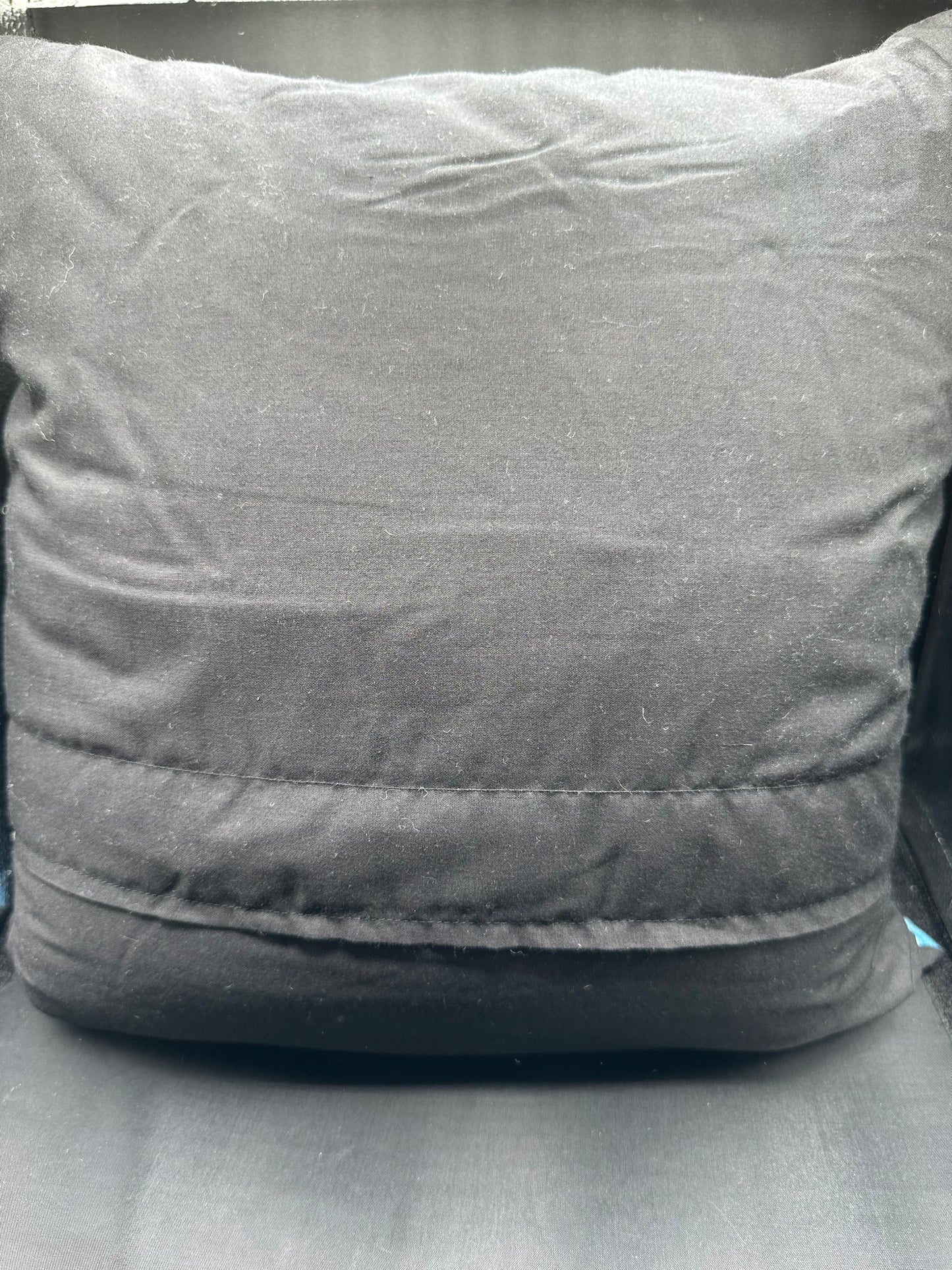 Mosasaurus pillow