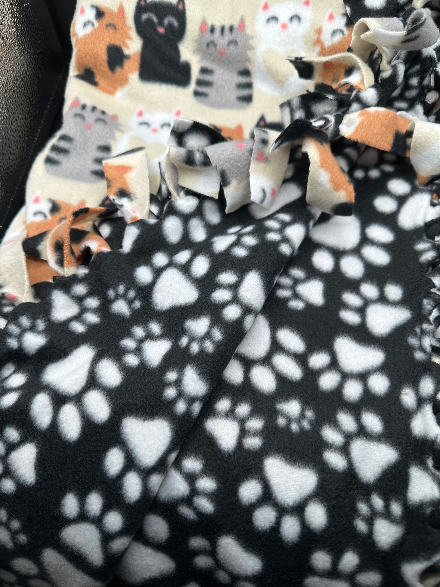 cats in a row - tan fleece blanket