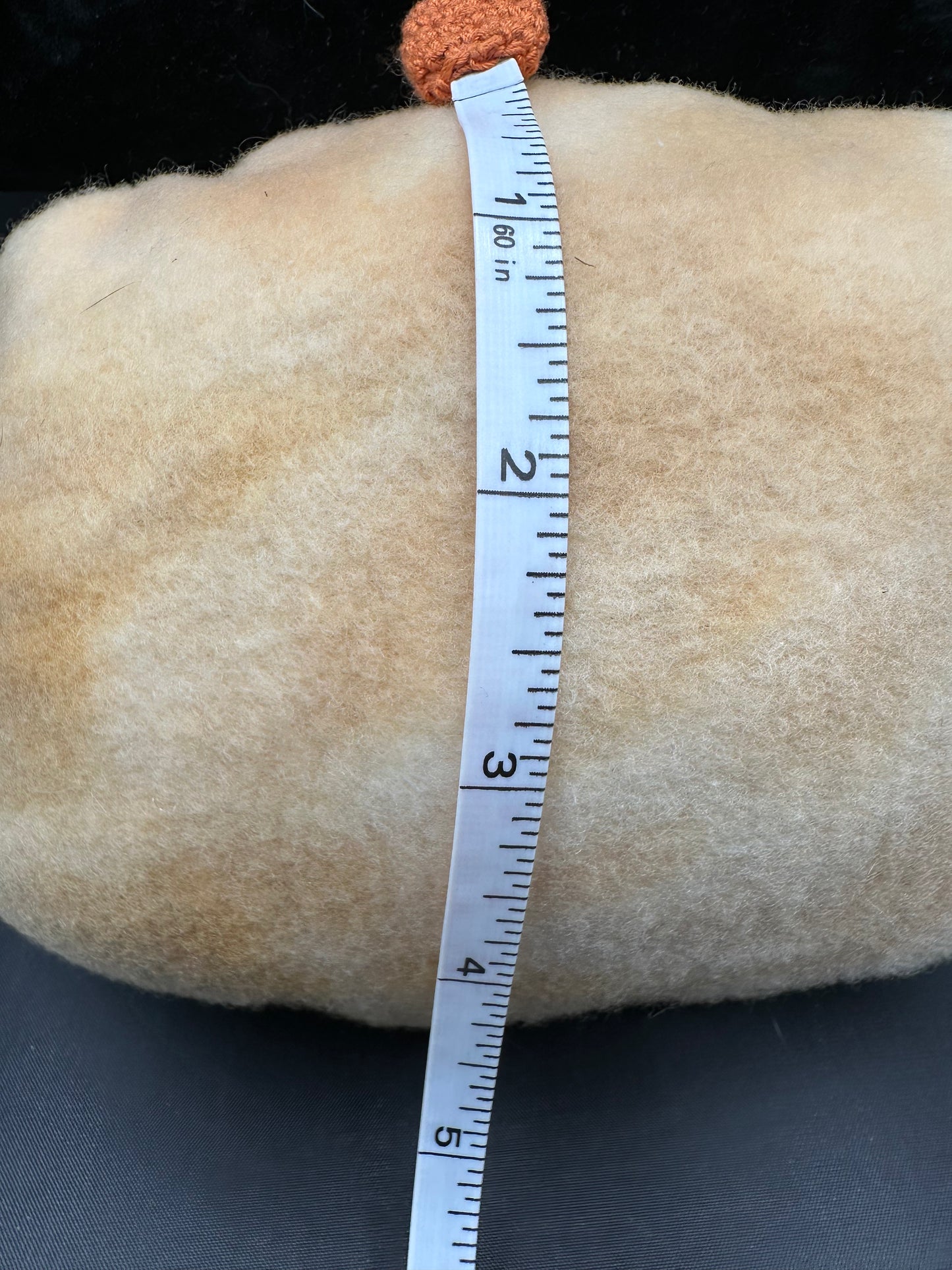 lion cub small pillow