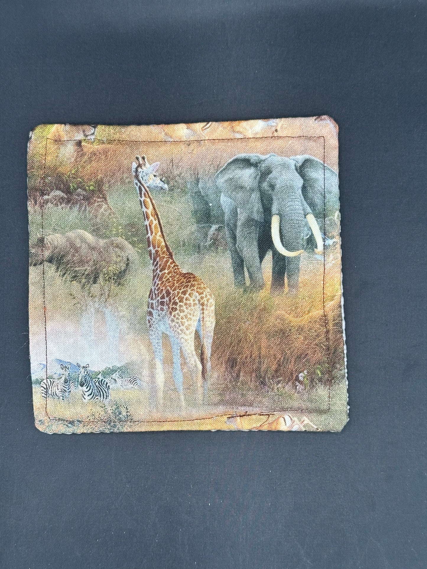 Safari