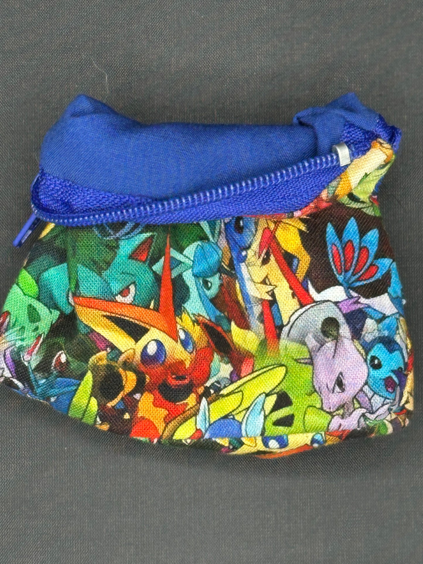 Pokemon Montag Coin bag