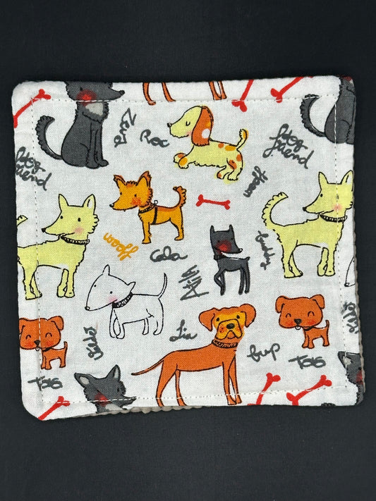 dogs on white