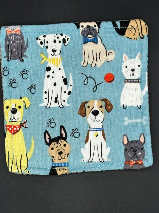 Dogs on blue background