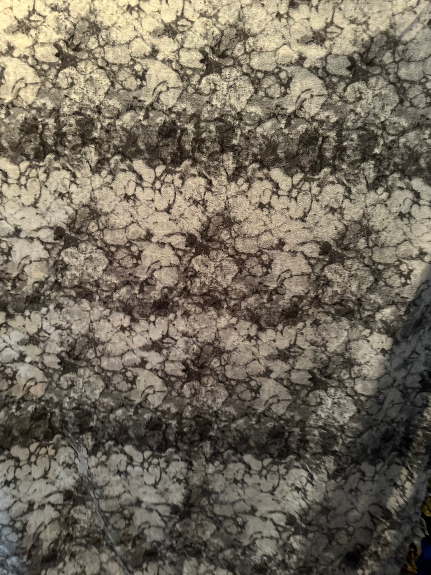 lizards fleece blanket