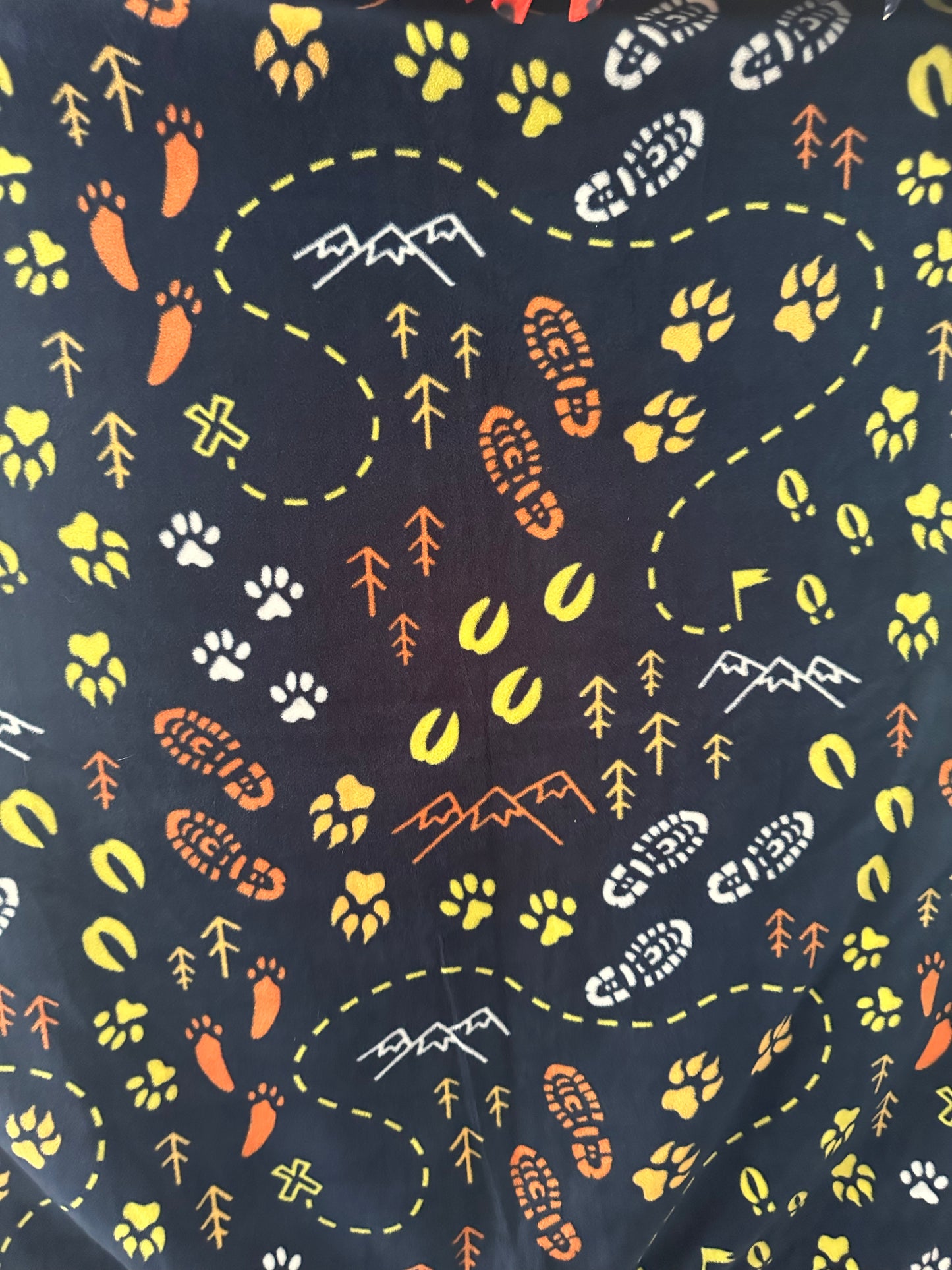 smores/camping fleece blanket