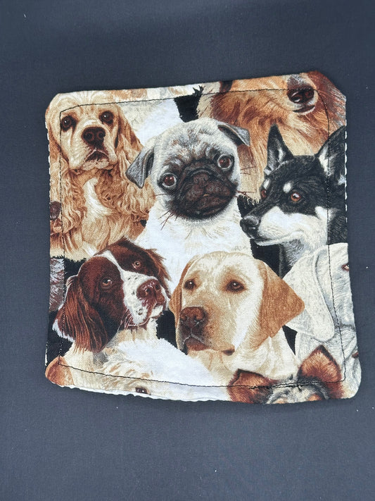 dogs